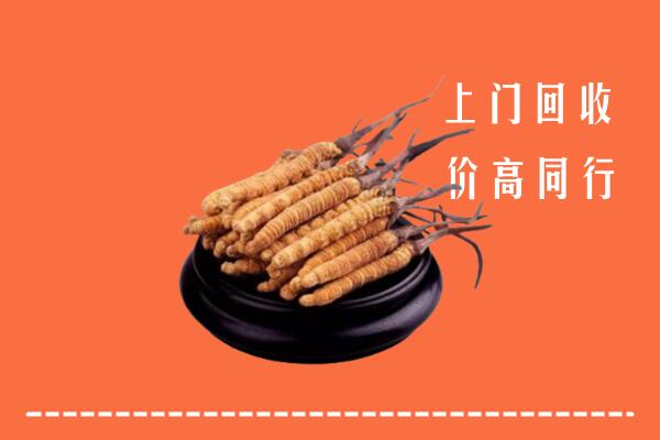 高价求购：怒江回收散虫草