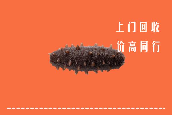 怒江回收海参