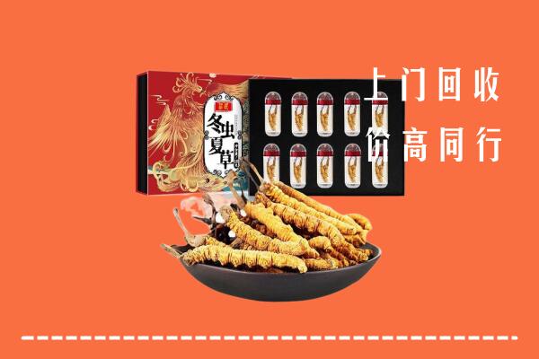 怒江高价回收虫草
